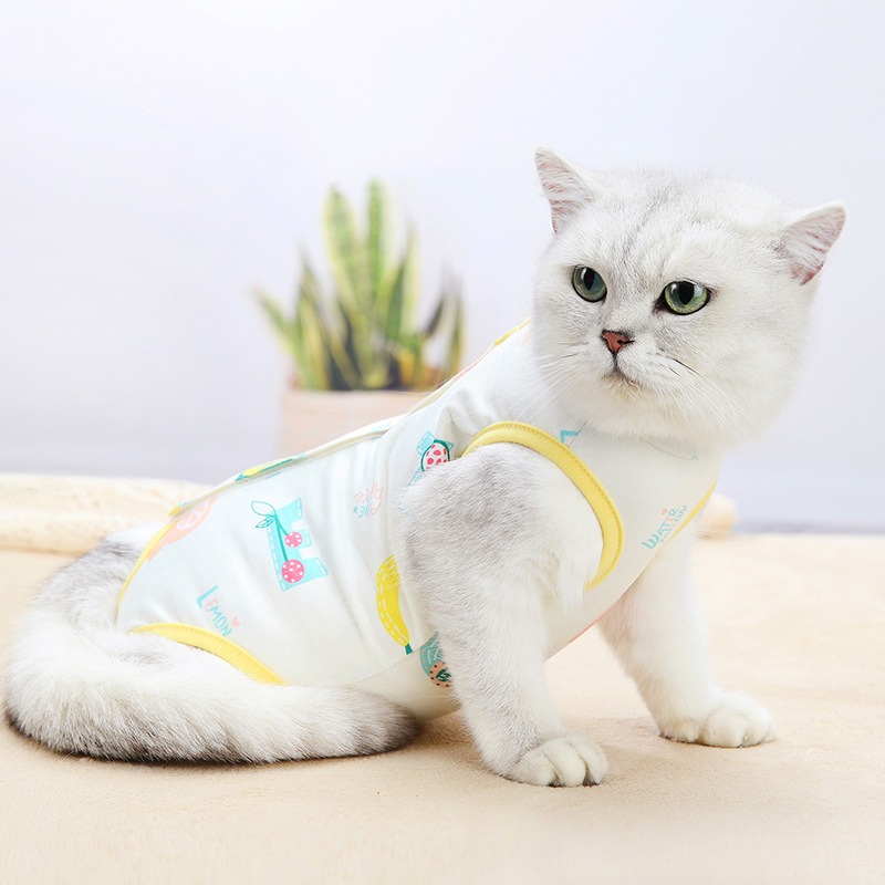 고양이 프린팅 환묘복